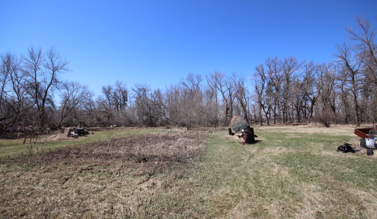 Comte Sized Spring time (10)