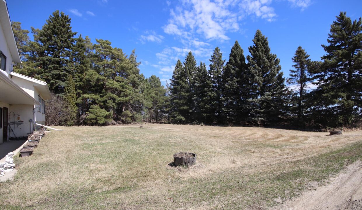Comte Sized Spring time (34)
