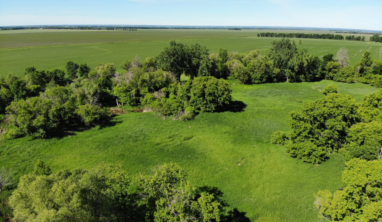 created by dji camera
