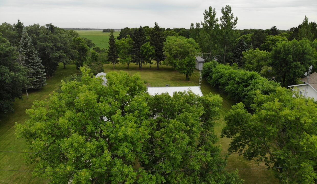 created by dji camera