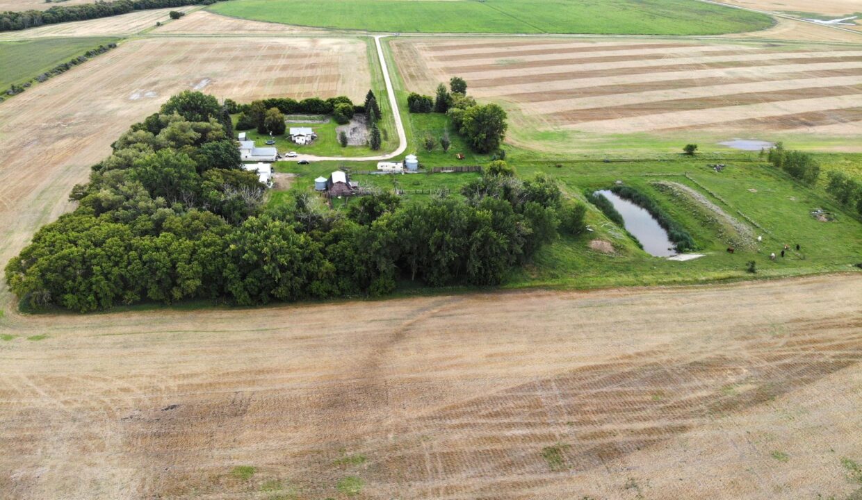 created by dji camera