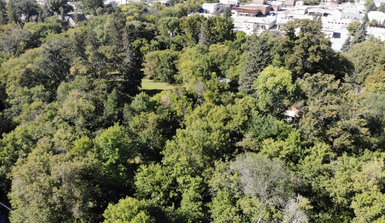 created by dji camera